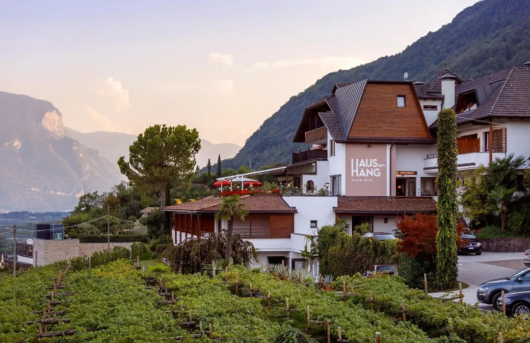 Hotel Haus Am Hang-1